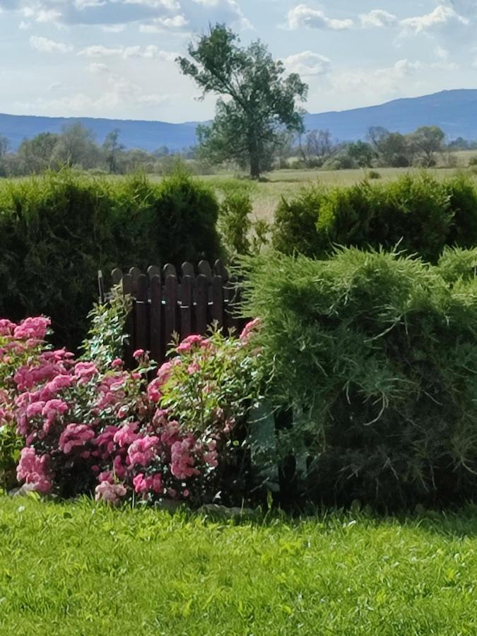 Guest House Belchin View Zewnętrze zdjęcie